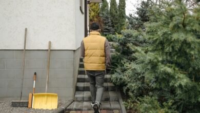 ad blocker browsing tools