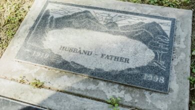 dario sepulveda s enduring legacy