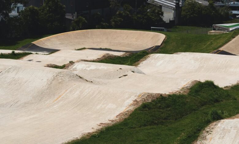 new zealand s popular sports overview