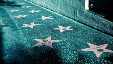 stars 895 name origin