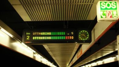 vidnoz swap services overview