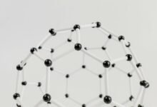 network maintenance testing protocol