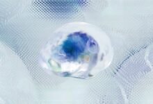 data profiles for individuals