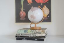 global insight bulletin summary