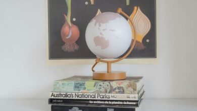 global insight bulletin summary