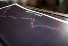 market insight summary report